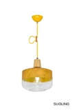 Morden Glass Pendant Lamp for Decoration No.1009-1