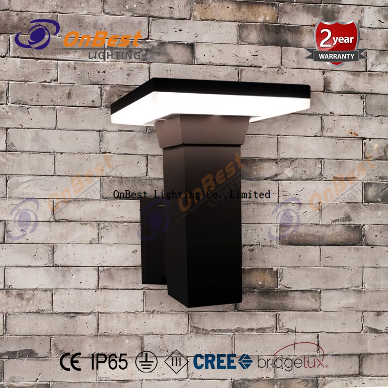 Hot Sales Wall Light 8W LED Wall Light in IP65