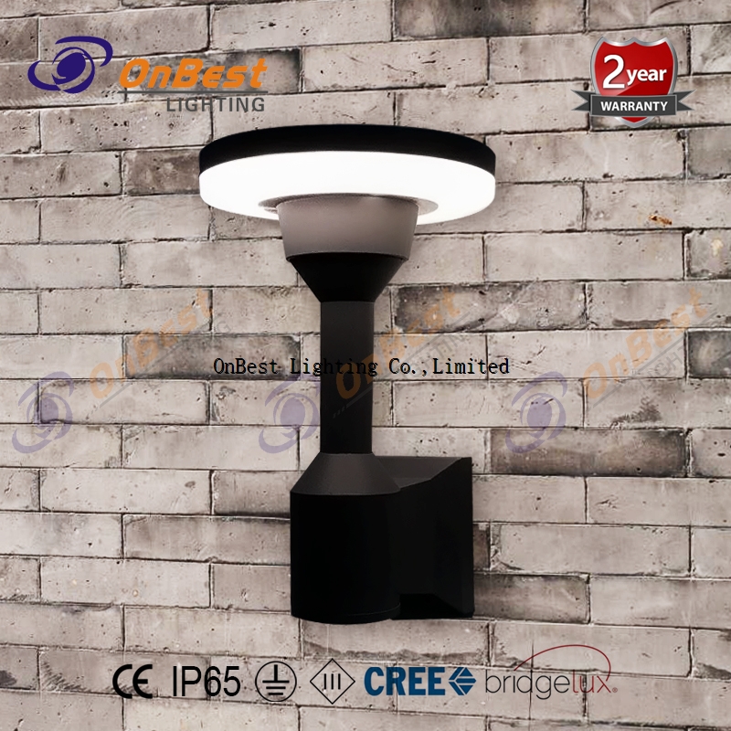 Hot Sales Wall Light 10W LED Wall Light in IP65