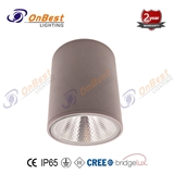 Aluminum COB LED 12W LED Ceiling Light