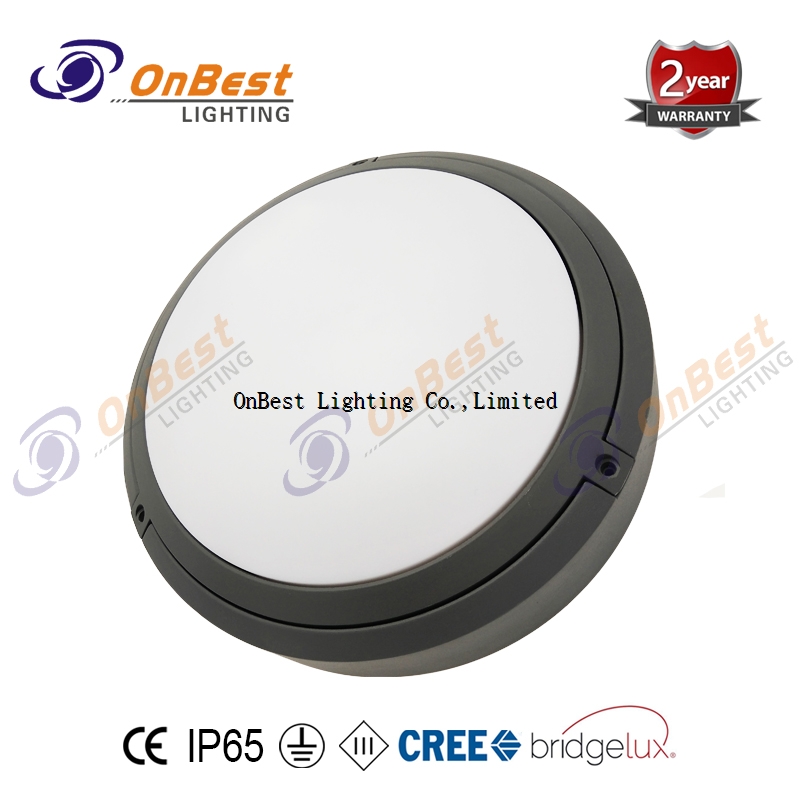 New Design LED Light 12W LED Round Ceiling Light in IP65