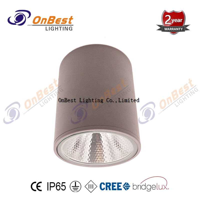 Aluminum COB LED 12W LED Ceiling Light