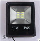 LED outdoor projection lamp 30W floodlight super bright waterproof