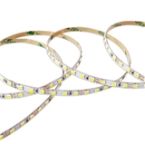 SMD2835 CONSTANT VOLTAGE LED FLEX STRIPS