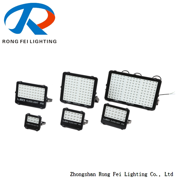 Newly Led Flood Light 100w Outdoor IP66 With Driver Outside