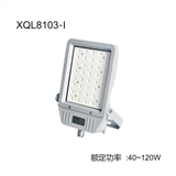 Explosion proof LED lighting used for gas and oil station
