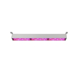 China made chip full spectrum 50w 100w 150w 200w 250w linear led grow light for indoor plants