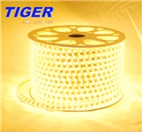 Strip Light 220V-5050-60-Strip-light(Gold PVC)