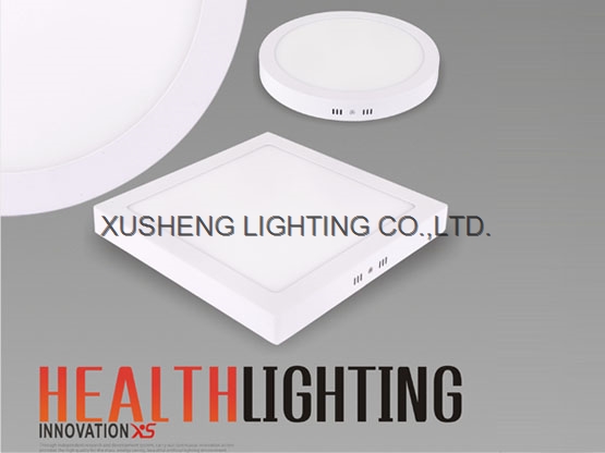 Ceiling light 6W