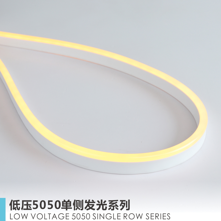 LED FLEXIBLE LAMP LOW VOLTAGE 5050 SIDE LUMINOUS