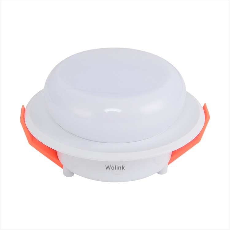 Led Dual Color Downlight