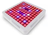 High Qulaity LED Plant Grow Light in Best Price