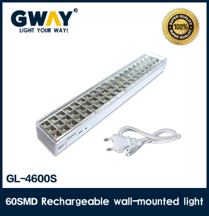 GL-4600S (60pcs of 5-6lm 3528SMD LED)