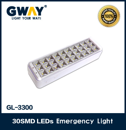 GL-3300S (30pcs of 5-6lm 3528SMD LED light)