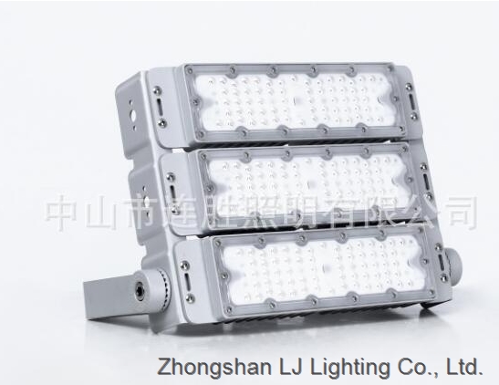 LS18101 LED flood light fixture
