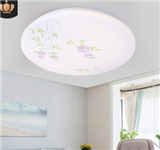 LED Ceiling lamp