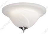 Ceiling fixture