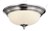 Ceiling fixture