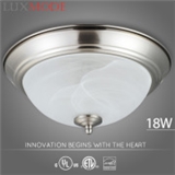Ceiling fixture