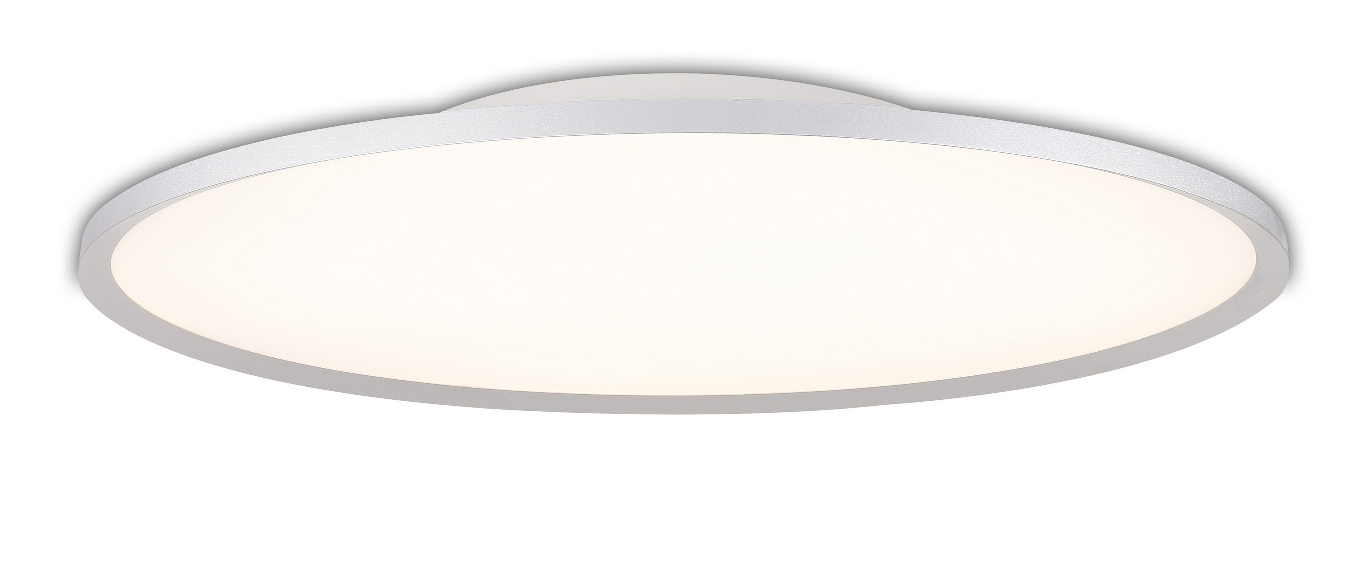 Oval Ceiling Lamp 椭圆面板灯
