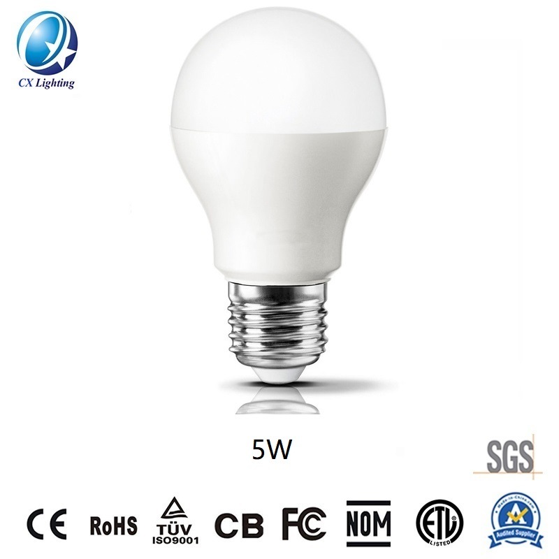 A Shape A60 LED Globe Bulb 5W AC DC 32V 450lm 60*112mm