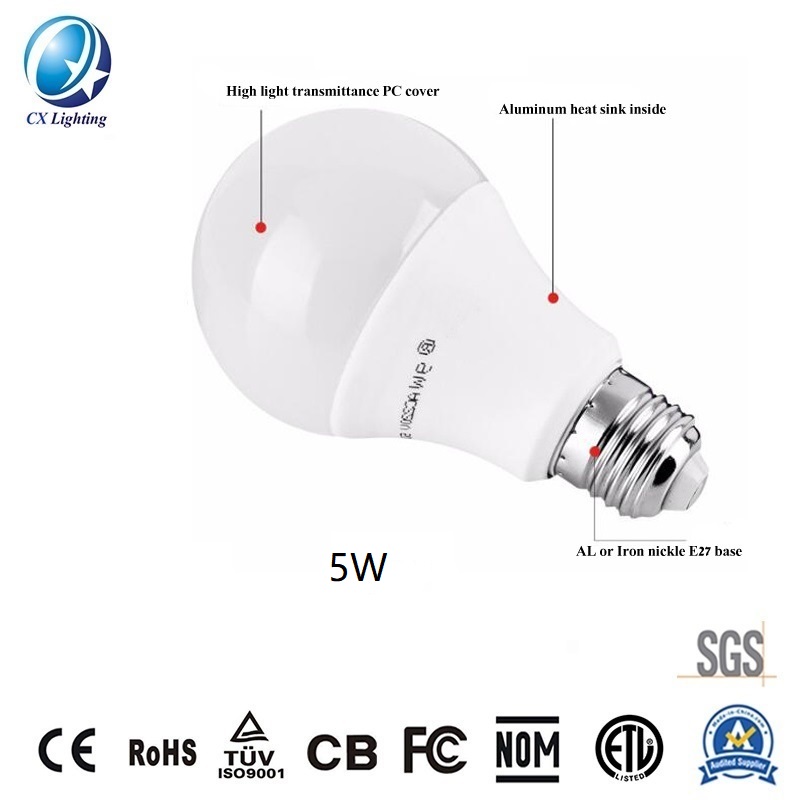 A Shape A60 LED Globe Bulb 5W AC DC 48V 450lm 60*112mm