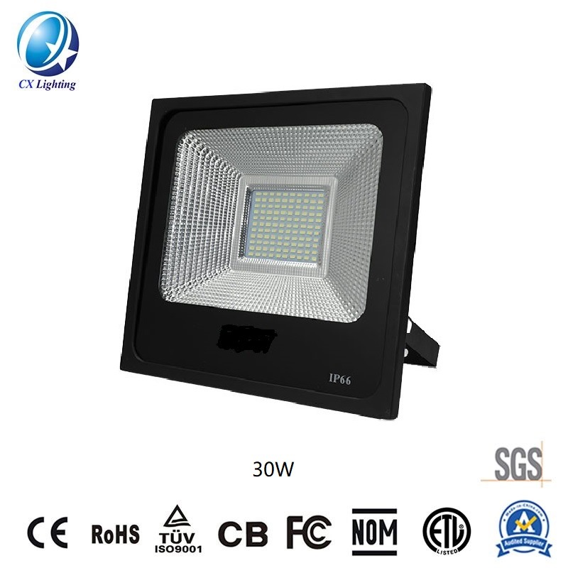 IP65 LED High Illumination Floodlight 30W 220X45X220 2550lm Ce RoHS