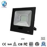 IP65 LED High Illumination Floodlight 30W 220X45X220 2550lm Ce RoHS