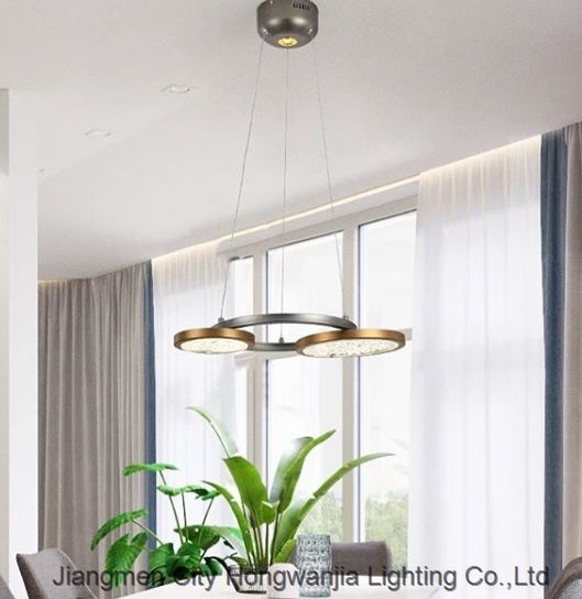 2019 new design modern style contermporary dining room LED pendant lamp chandelier