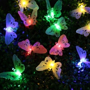 light fiber Butterfly