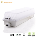 Battery Recharged Ceiling Wall Clear Diffuser 4000K 7W14W 20W LED IK10 Bulkhead Light Fixture