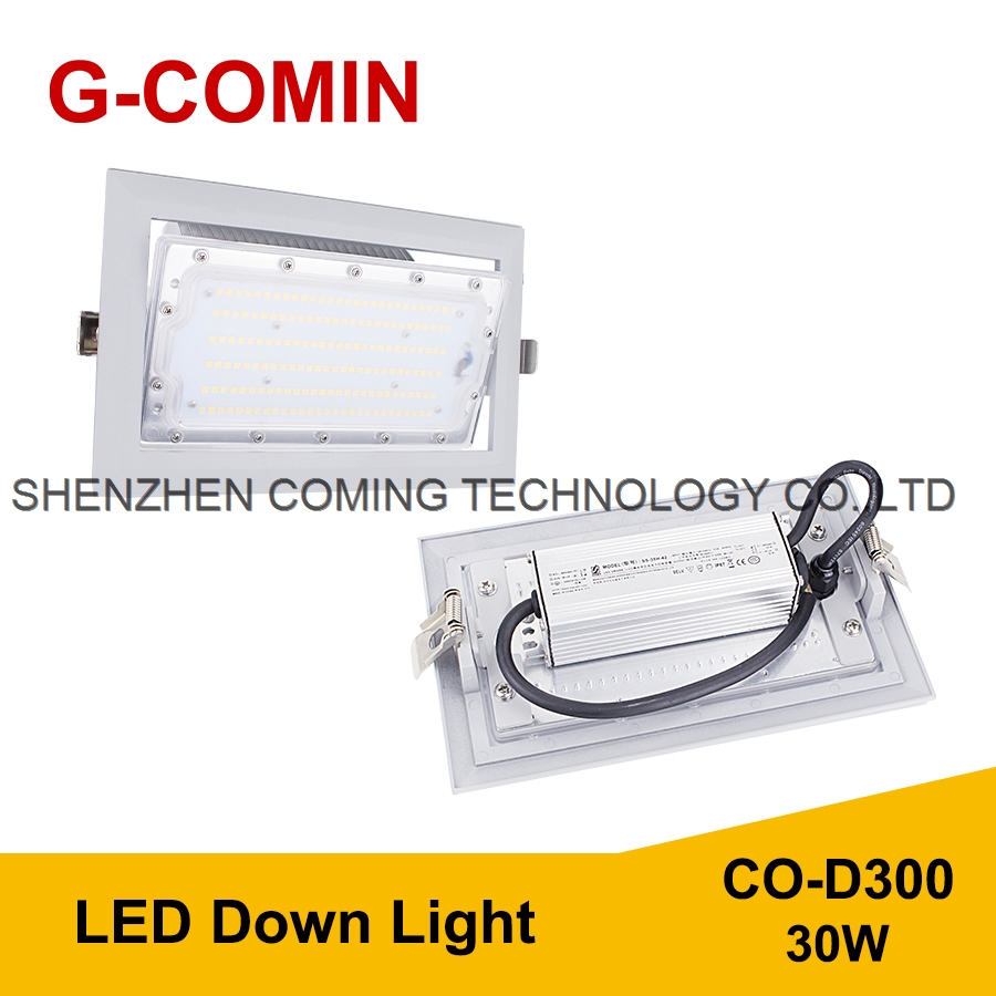 LED Down Light CO-D300 30W 140LM W Aluminum cooling fin High Luminous Flux