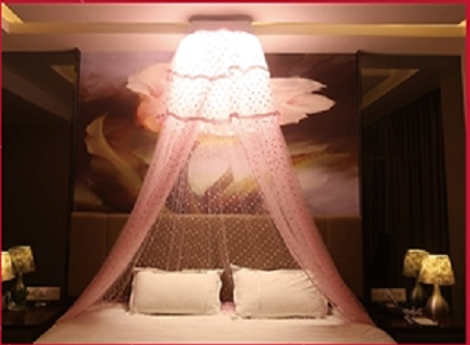 Foryou Intelligent automatic lifting mosquito net LED mosquito net lampSMWZ -D1.
