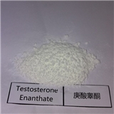 Hupharma Testosterone Enanthate injectable steroids Powder