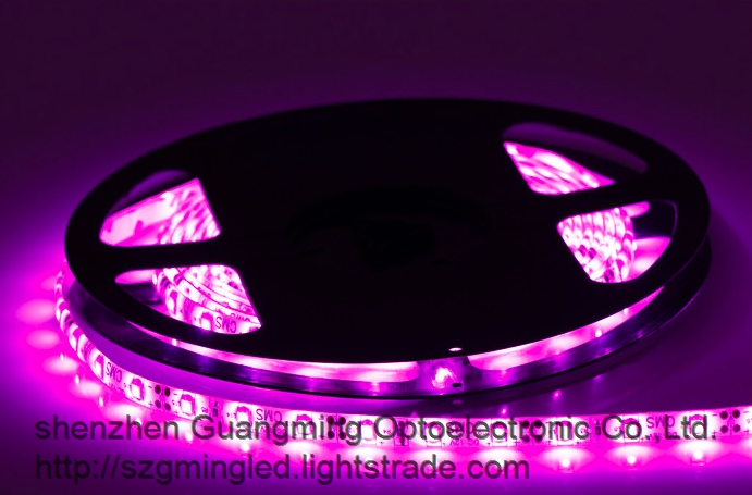 60 led m 3528 LED Strip Flexible DC12V LED Light Strip for Decorative Lighting