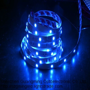 SMD 2835 12v neon waterproof flex led strip neon light