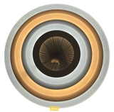 YL-A-084 LED NEW Ceiling Lamp