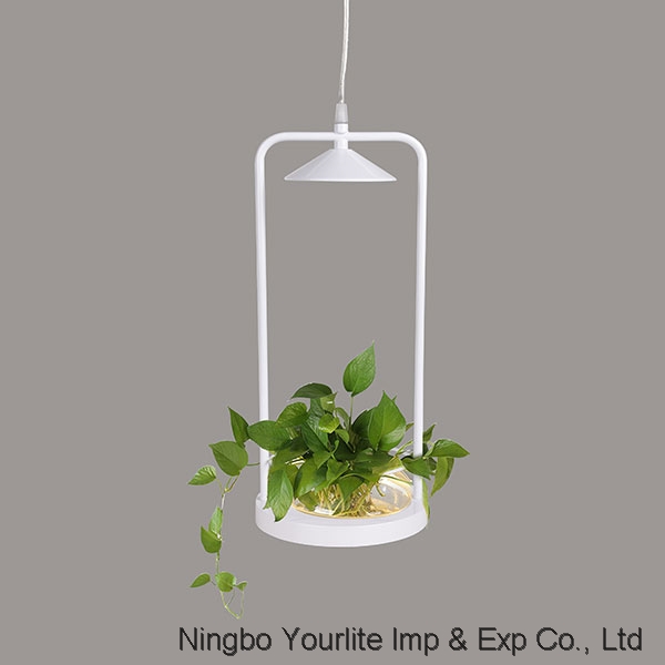 plant growing lamp