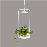 plant growing lamp