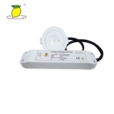 emergency led light with battery rechargeable emergency LED downlight 3W emergency downlight