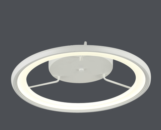 ceiling lamp FS-008-X1（C）
