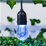 RGBW String Lights Remote controll Weatherproof outdoor or indoor use