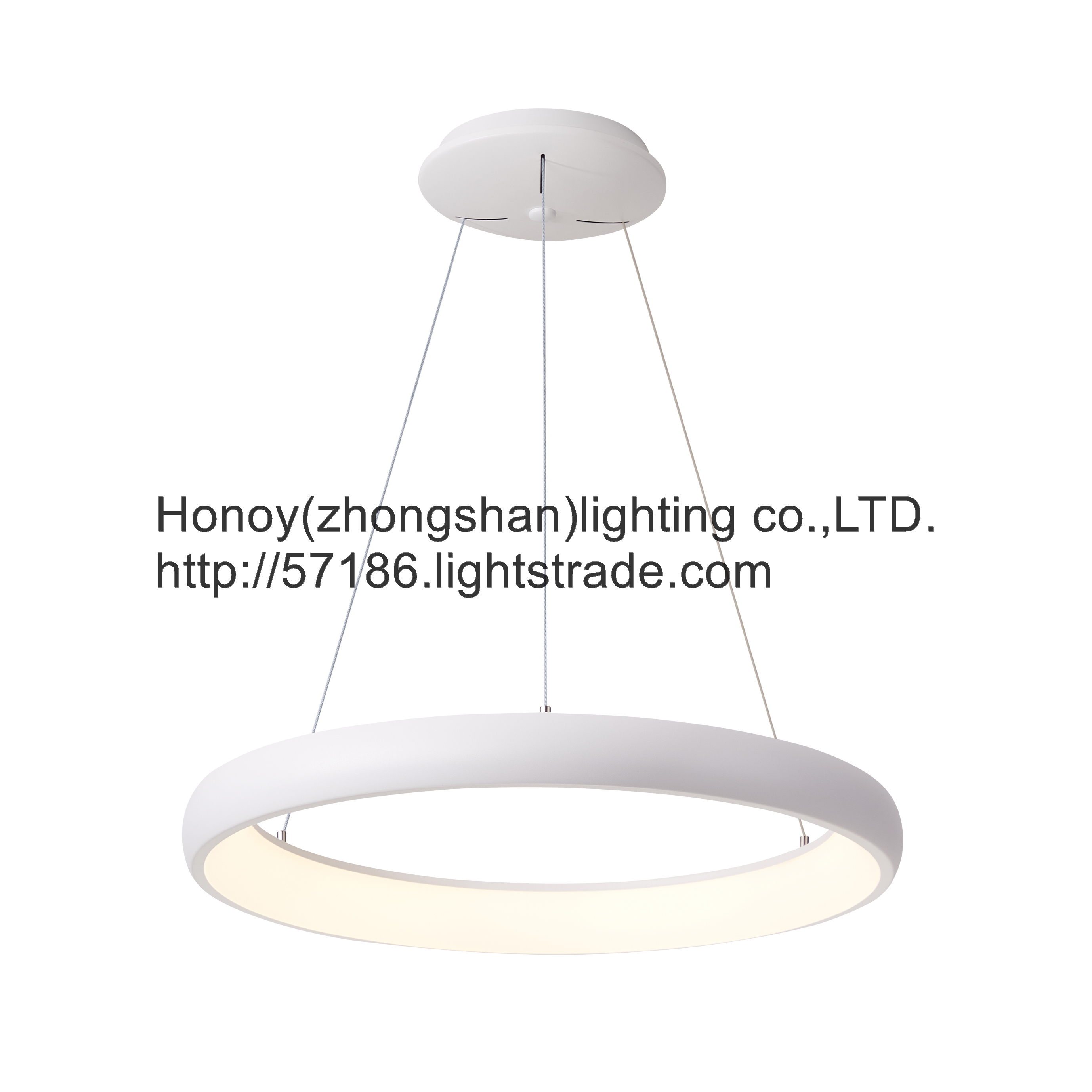 Honoy white black modern LED indoor decorative light