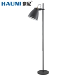 Floor Lamp-HN3178