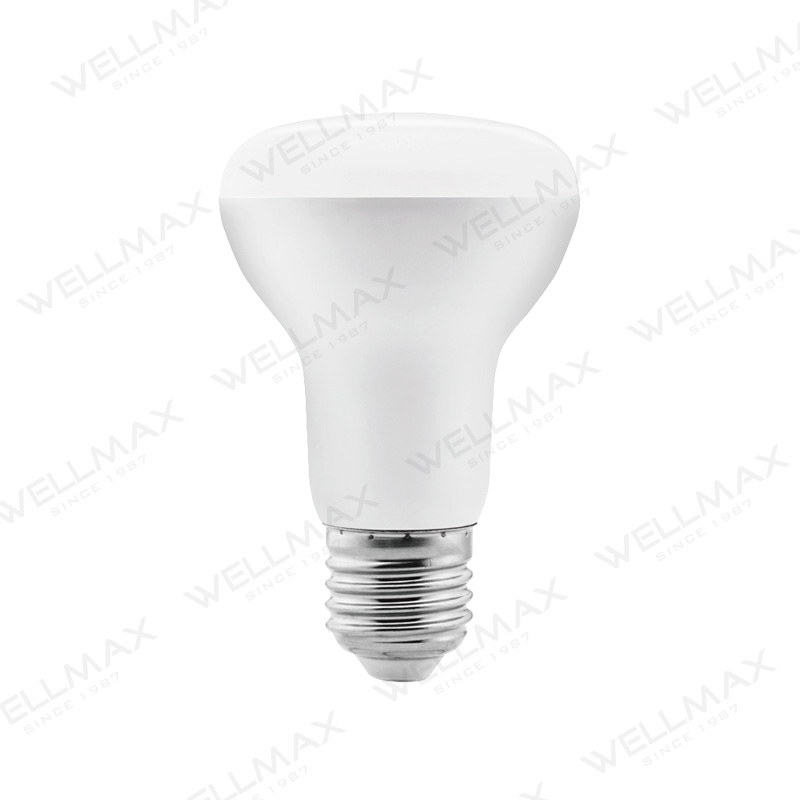 LED R Lamp Series R39 R50 R63 R80