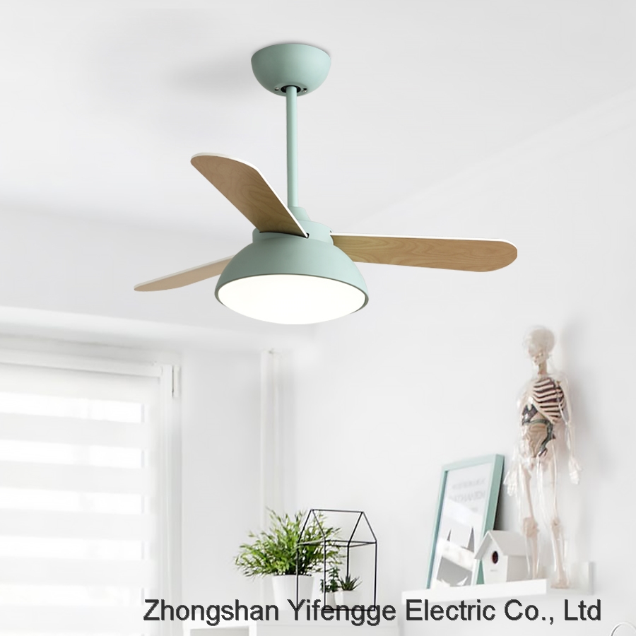 Bedroom living room lamp dining room variable frequency ceiling fan LED European fan