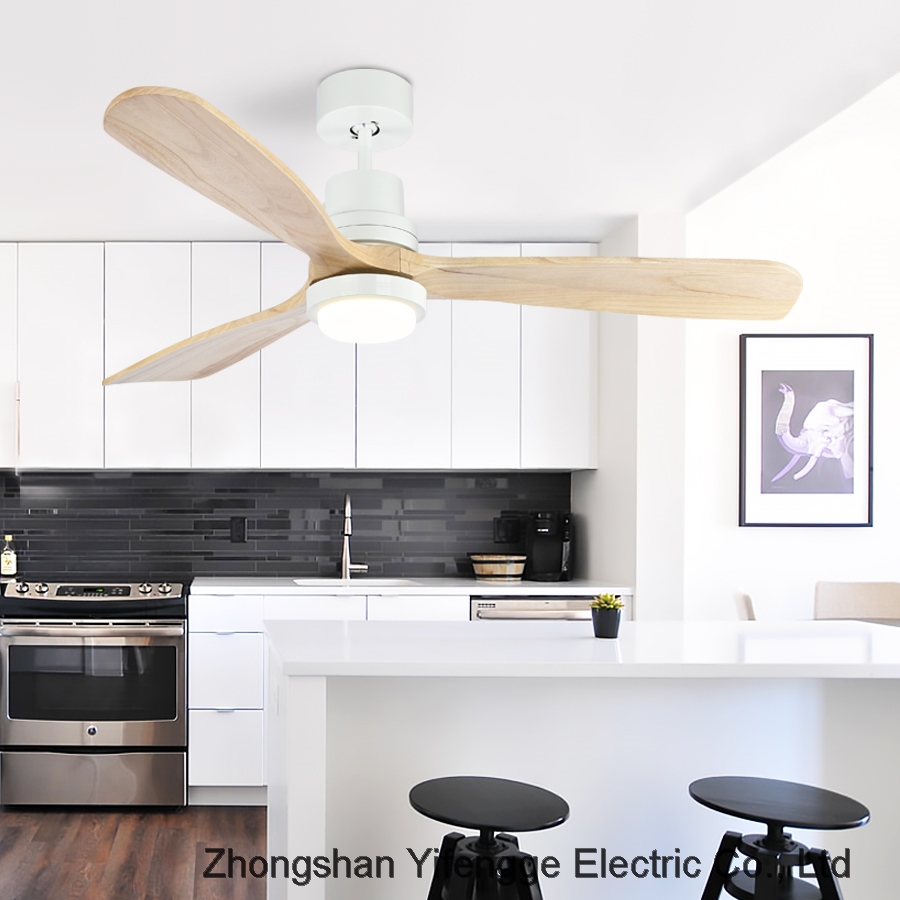 ceiling fan with light Ceiling living room solid wood LED light