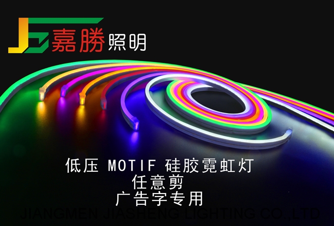 12V 24V Motif Neon Flex