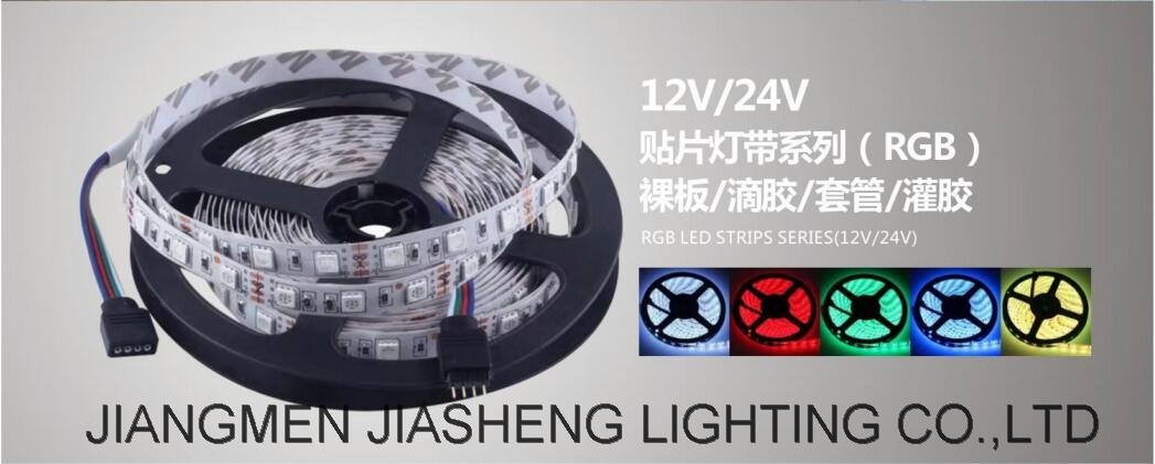 12V 24V RGB LED Strip IP20 44 65