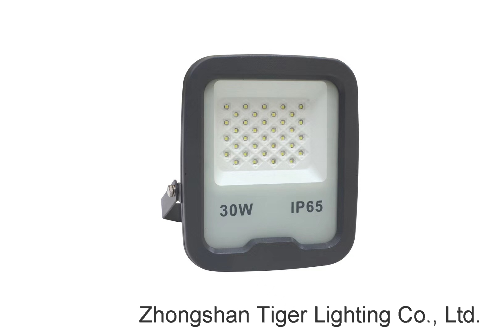 Zhongshan IP66 High Power High Lumens 30W 50W 100W 150W 200W Led Flood Light